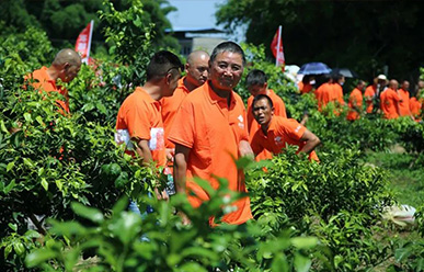震驚：50元買一只紅蜘蛛？!——這一次，果農(nóng)們有話要說