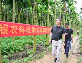 不斷創(chuàng)新納米農(nóng)藥，“銀農(nóng)三寶”助力檳榔提質(zhì)增收